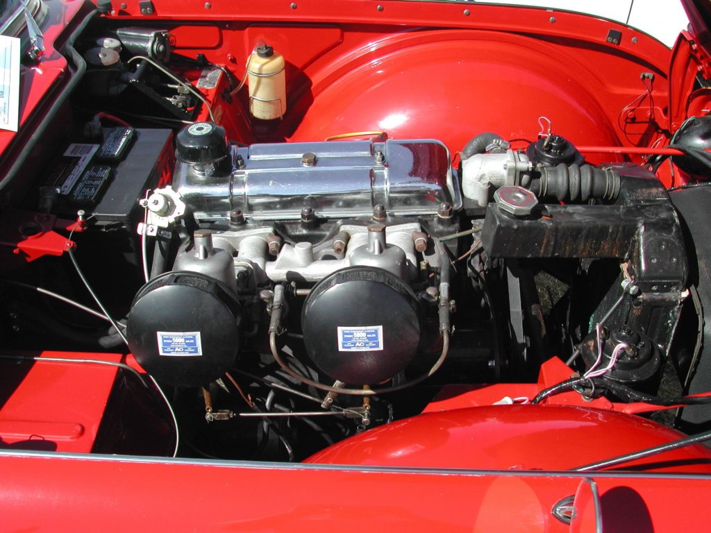 db003.jpg
