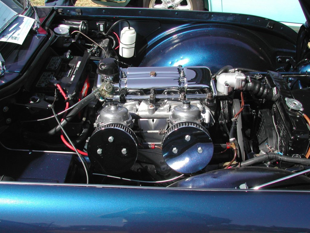 db008.jpg