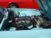 db010_small.jpg