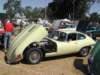 db036_small.jpg