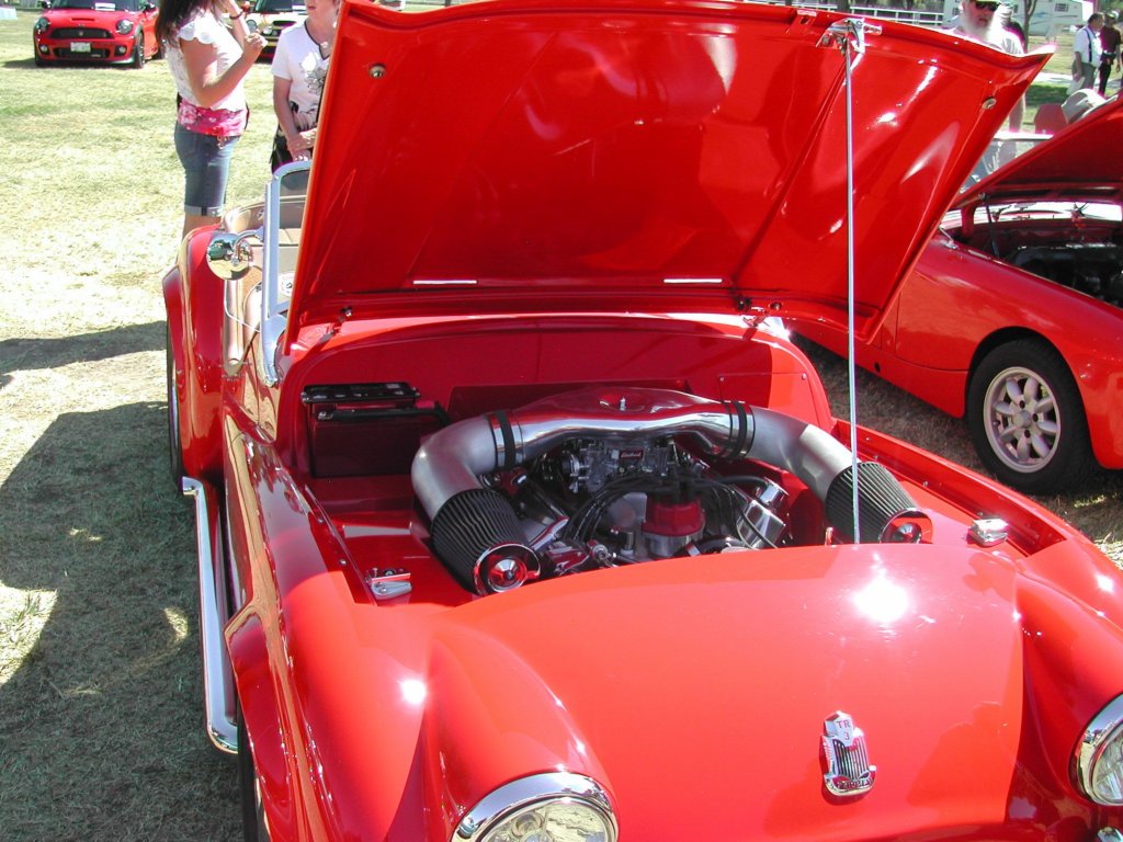 db049.jpg