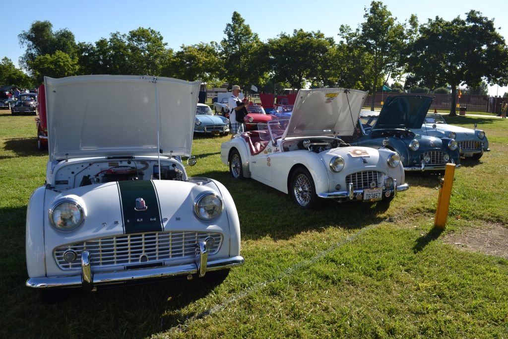 dsc_0094.jpg