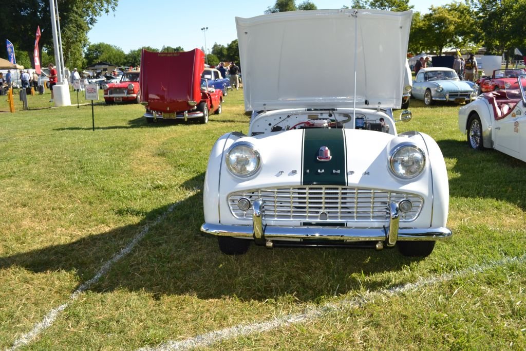 dsc_0194.jpg