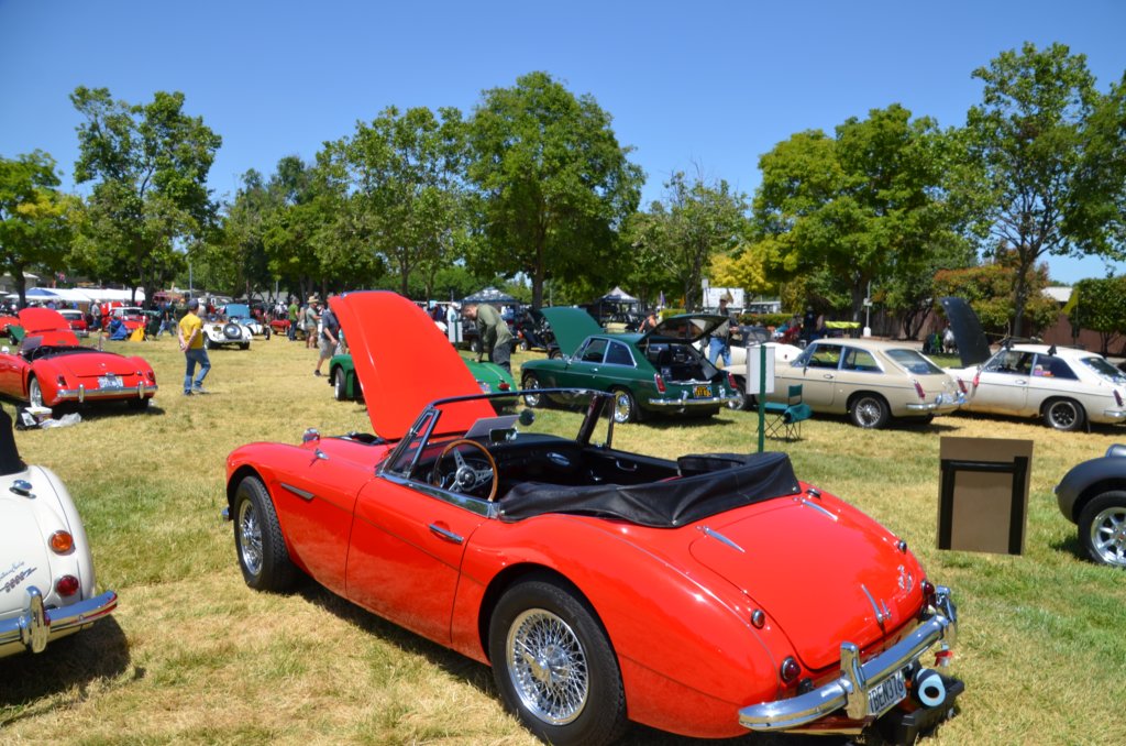 dsc_3279.jpg