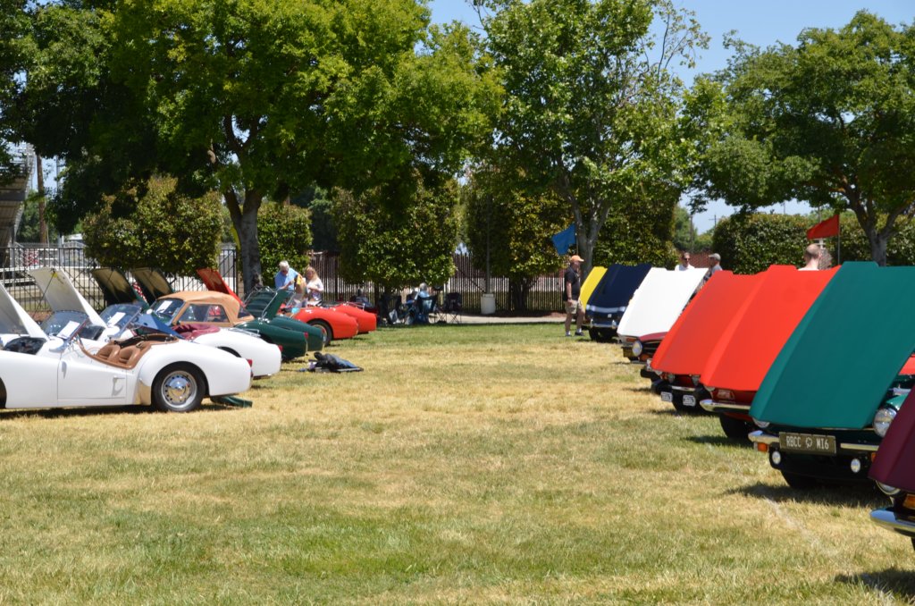 dsc_3280.jpg