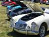 dsc_9539v2_small.jpg